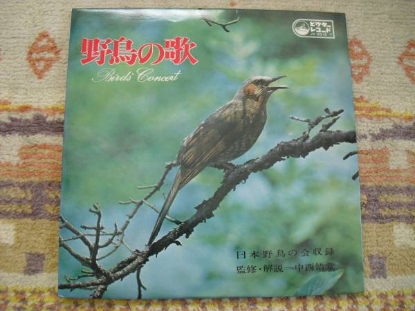 picture?url=http%3A%2F%2Fimg341.auctions.yahoo.co.jp%2Fusers%2F7%2F8%2F0%2F7%2Fanov2q-img600x450-13214995927wgpwh98830.jpg&signature=34470c97516245b0b28050a3378fb4566dac41b4