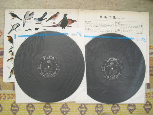 picture?url=http%3A%2F%2Fimg341.auctions.yahoo.co.jp%2Fusers%2F7%2F8%2F0%2F7%2Fanov2q-img600x450-1321499592treq5t98830.jpg&signature=b4578e01245d1e924d1e33a6cd9c809f47437dbf